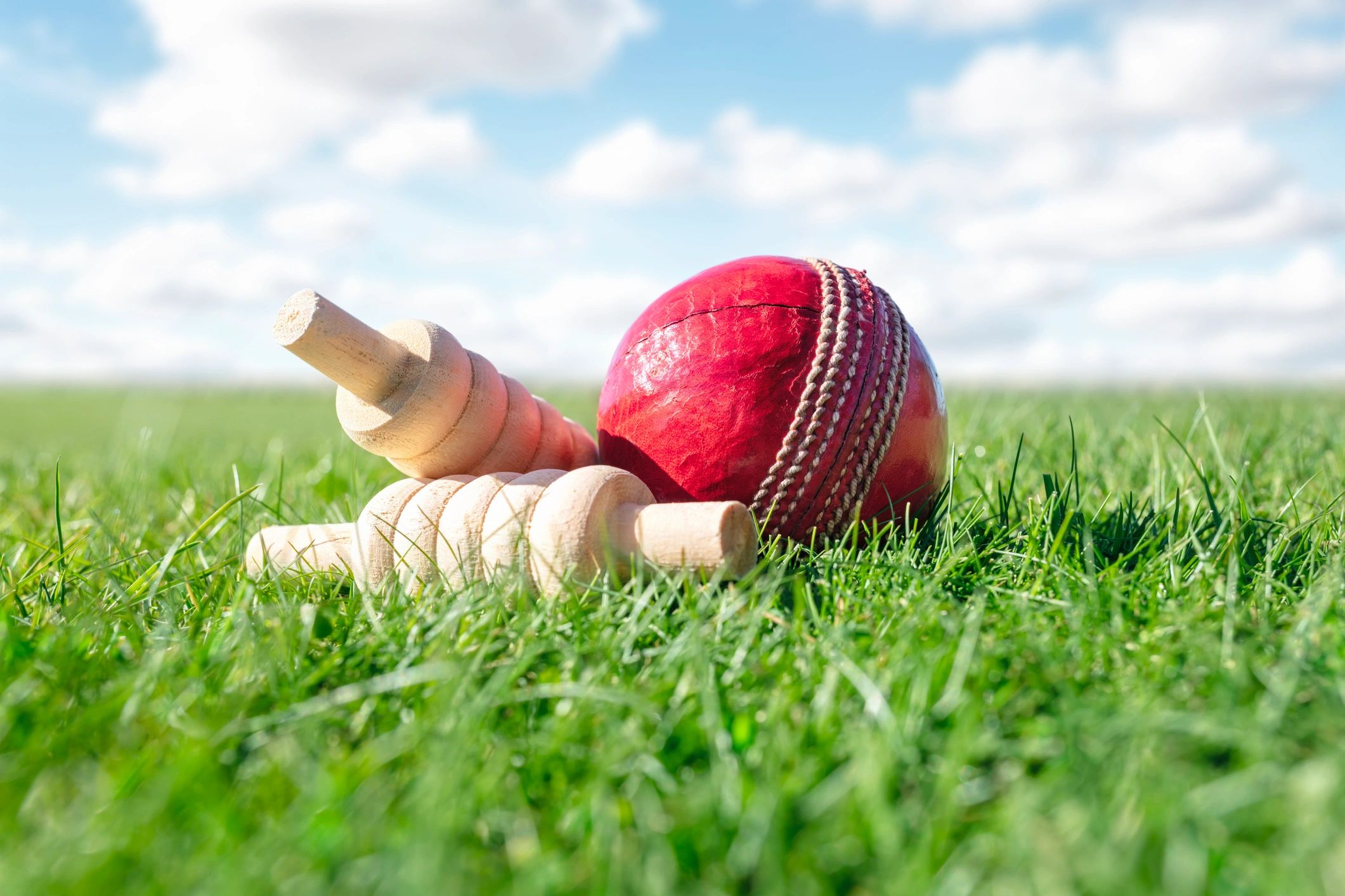 Cricket ball and bails on green grass